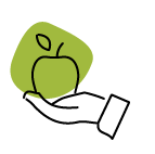 fruits – degustation fruits - degustation