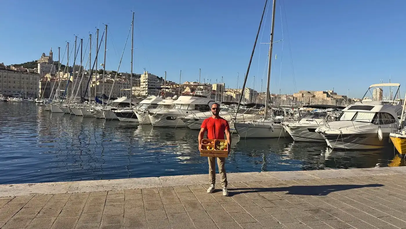 Corbeilles de fruits au bureau à Marseille — Vieux-Port Vue du Vieux-Port de Marseille avec un livreur Le Tracteur et sa corbeille de fruits de saison